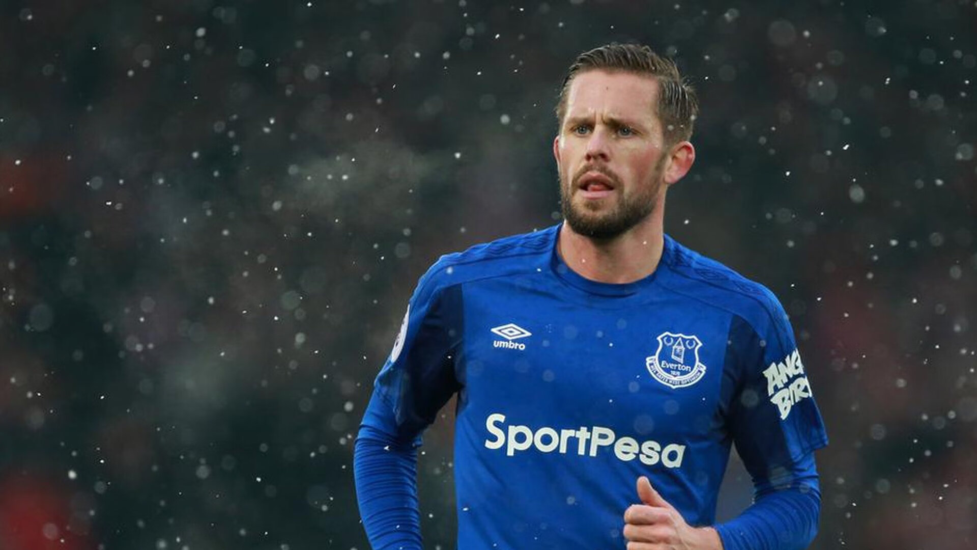 从低谷到巅峰,伤病康复背后的坚守与突破